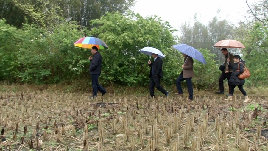 image005.jpg image005.jpg