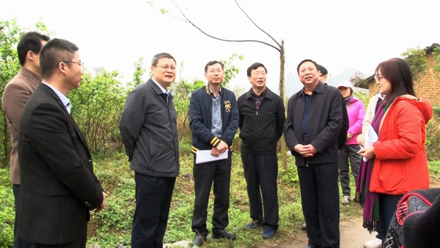 image009.jpg image009.jpg