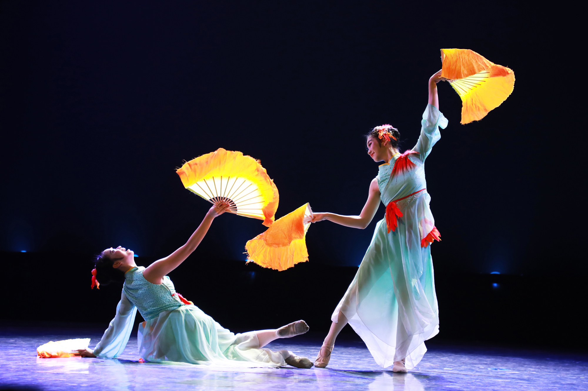 舞蹈集锦：双人舞《林鸟趣话》