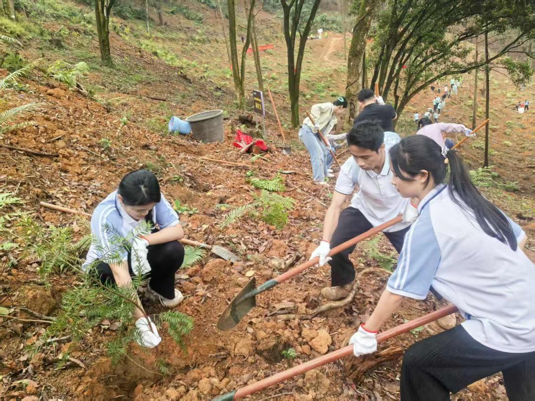 3ee5959bc2fe51c9ccf7a3edd3f94aae